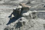 PICTURES/Bisti Badlands in De-Na-Zin Wilderness/t_Gray & Black3.JPG